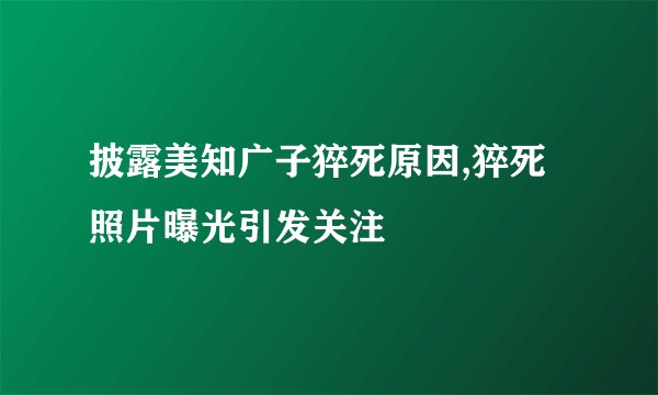 披露美知广子猝死原因,猝死照片曝光引发关注