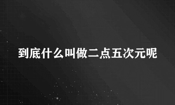 到底什么叫做二点五次元呢
