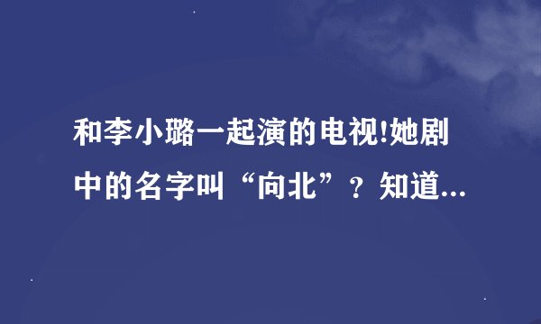 和李小璐一起演的电视!她剧中的名字叫“向北”？知道是谁吗？