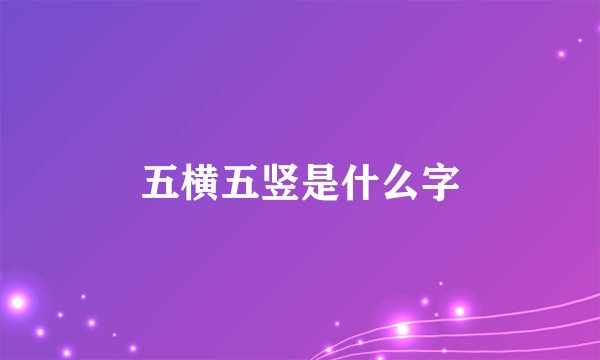 五横五竖是什么字
