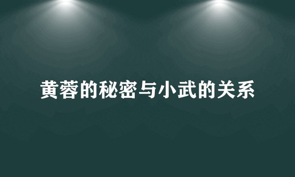 黄蓉的秘密与小武的关系