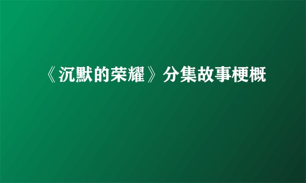 《沉默的荣耀》分集故事梗概