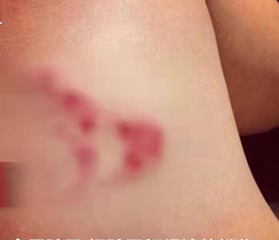 孕妇遭前夫定位跟踪纠缠6年，前夫教孩子辱骂妈妈未果暴打孩子