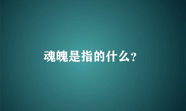 魂魄是指的什么？