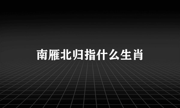 南雁北归指什么生肖