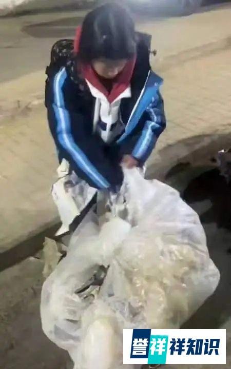 14岁的小姑娘独自在寒冷的夜晚捡废品，靠捡废品撑起她们那残破的家。