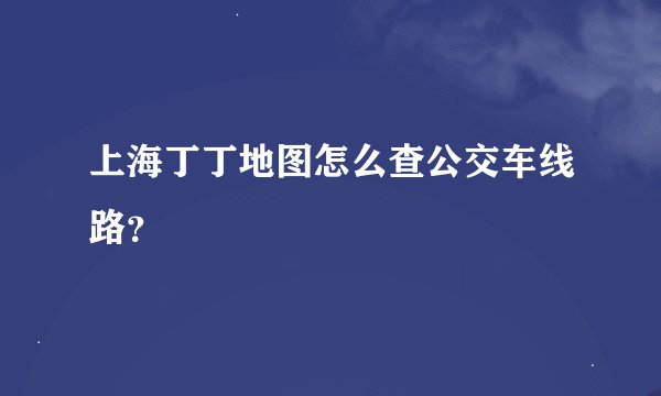上海丁丁地图怎么查公交车线路？