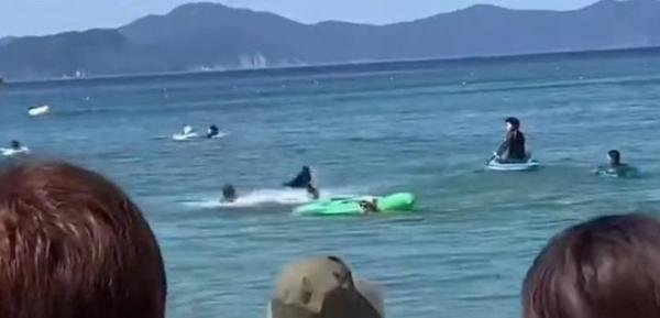 违反常识？六旬老人被海豚撞成骨折并被啃伤，因为他是日本人？