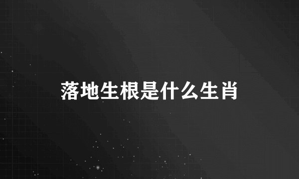 落地生根是什么生肖