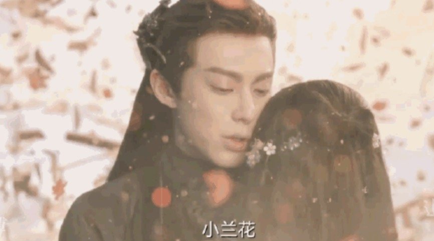 苍兰诀小兰花为什么死了