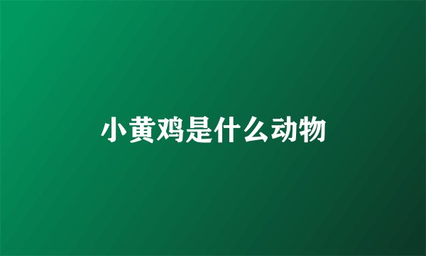 小黄鸡是什么动物