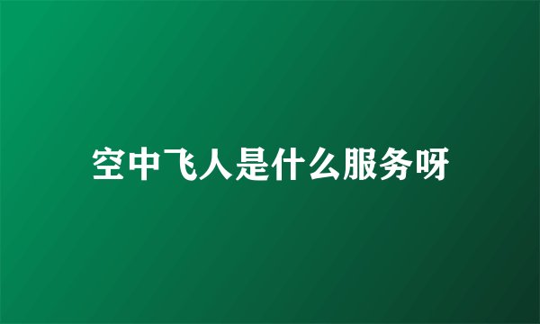 空中飞人是什么服务呀