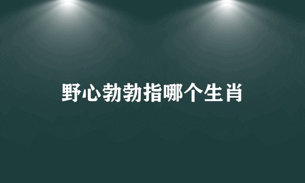 野心勃勃指哪个生肖
