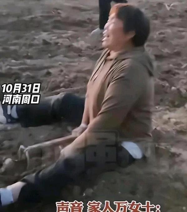 河南再次发生哄抢药材？官方回应“误以为”，知情人透露更多细节