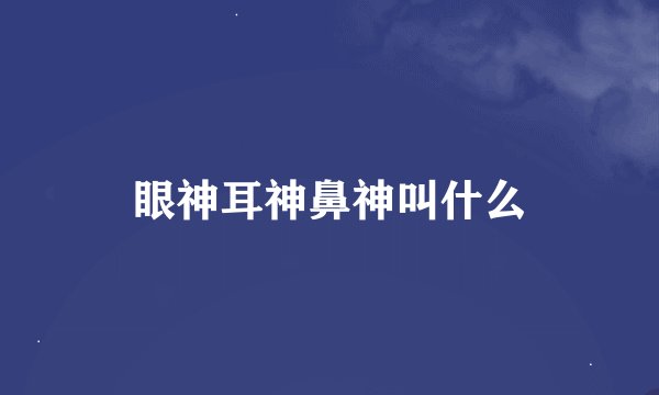 眼神耳神鼻神叫什么
