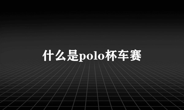 什么是polo杯车赛