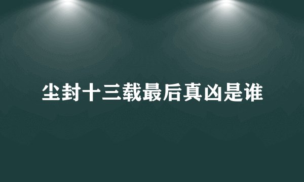 尘封十三载最后真凶是谁