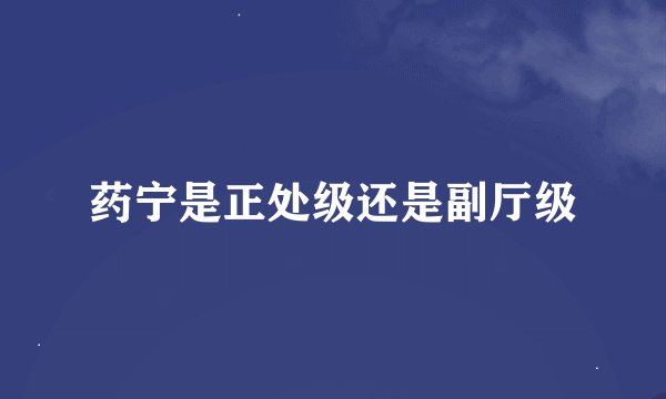 药宁是正处级还是副厅级
