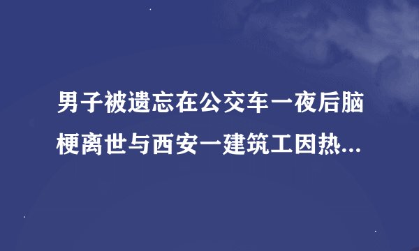 男子被遗忘在公交车一夜后脑梗离世与西安一建筑工因热射病去世