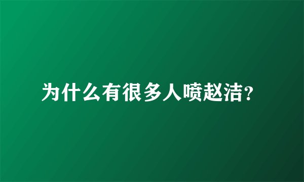 为什么有很多人喷赵洁？
