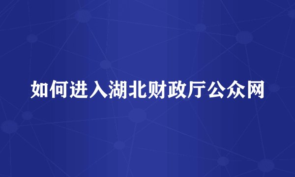 如何进入湖北财政厅公众网