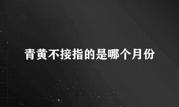 青黄不接指的是哪个月份