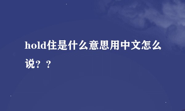 hold住是什么意思用中文怎么说？？