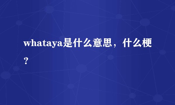 whataya是什么意思,什么梗?