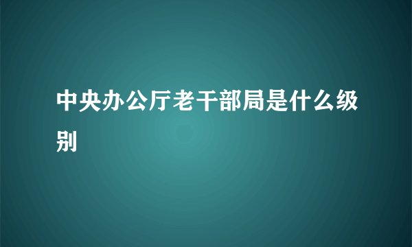 中央办公厅老干部局是什么级别