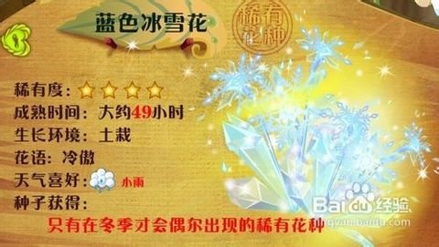 小花仙蓝晶晶怎么得