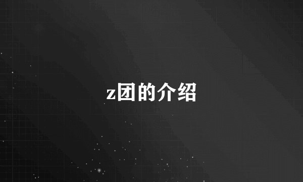 z团的介绍