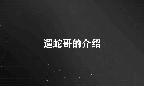 遛蛇哥的介绍