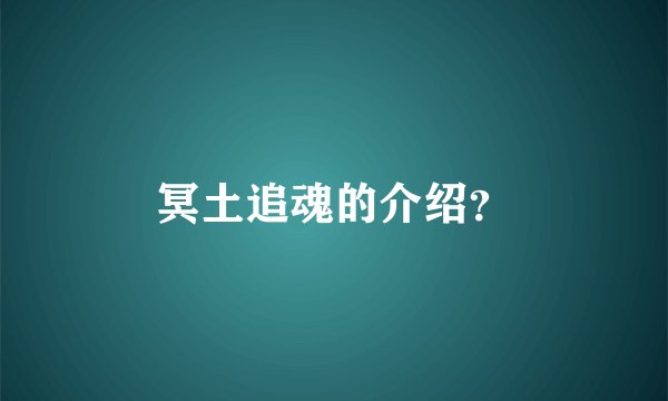 冥土追魂的介绍？