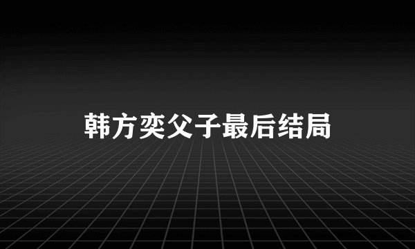 韩方奕父子最后结局