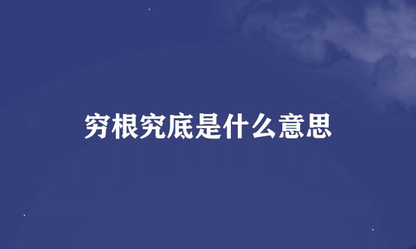 穷根究底是什么意思