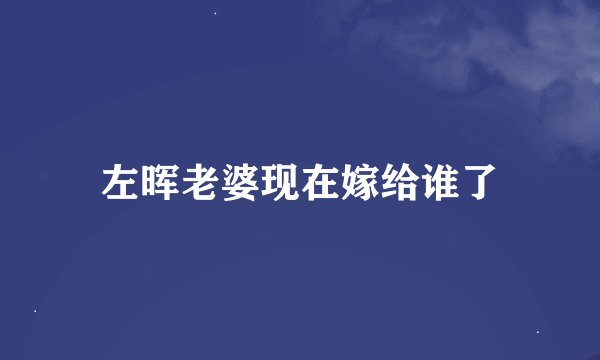 左晖老婆现在嫁给谁了