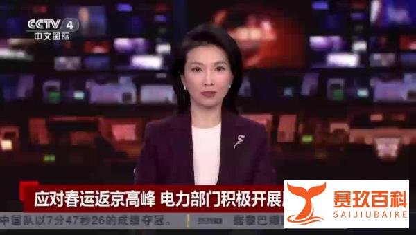 中央电视台：应对春运返京高峰 电力部门积极开展用电保障