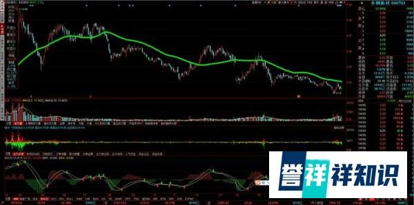 网红可转债——本钢转债，是申购还是放弃？