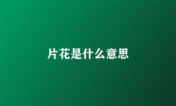 片花是什么意思
