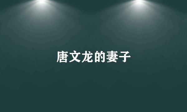 唐文龙的妻子