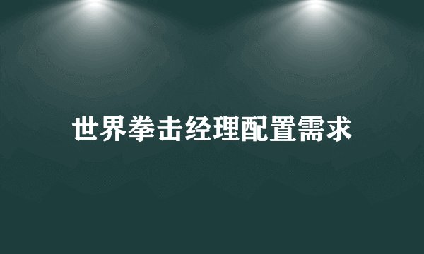 世界拳击经理配置需求