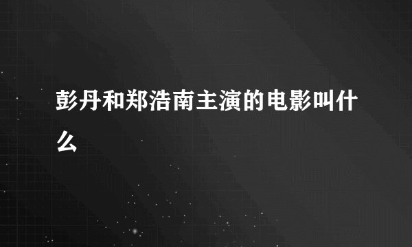 彭丹和郑浩南主演的电影叫什么