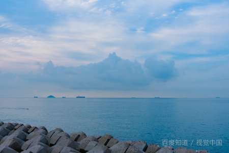 冰心所有关于大海的现代诗?