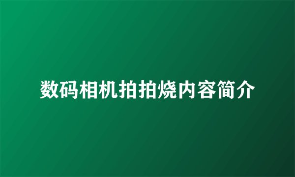 数码相机拍拍烧内容简介