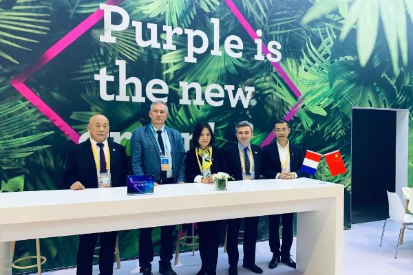 燃烧机十大品牌