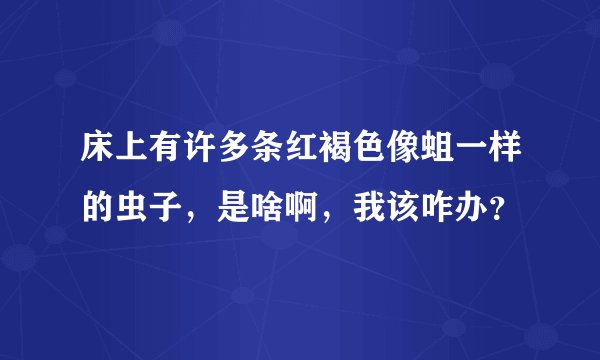 床上有许多条红褐色像蛆一样的虫子，是啥啊，我该咋办？