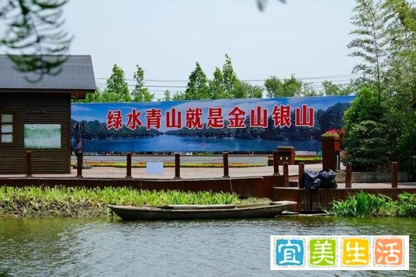 万亩林场主孙国友跪地求水，沙漠种树不需要水，事情得到解决了？