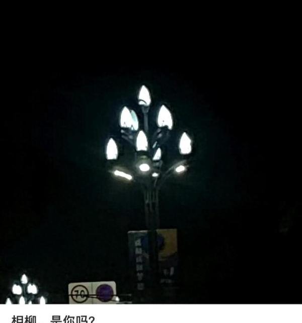 杨紫选了檀健次，“夭柳没有遗憾了”