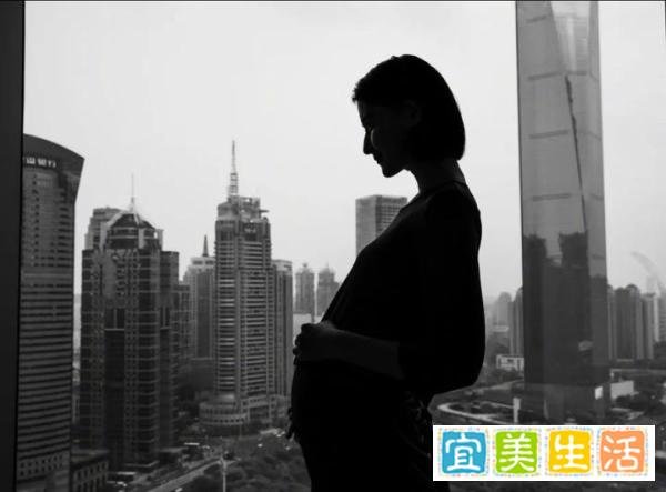 非婚妈妈起诉卫健委争取生育保险，胜诉几率有多大