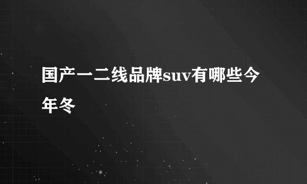 国产一二线品牌suv有哪些今年冬